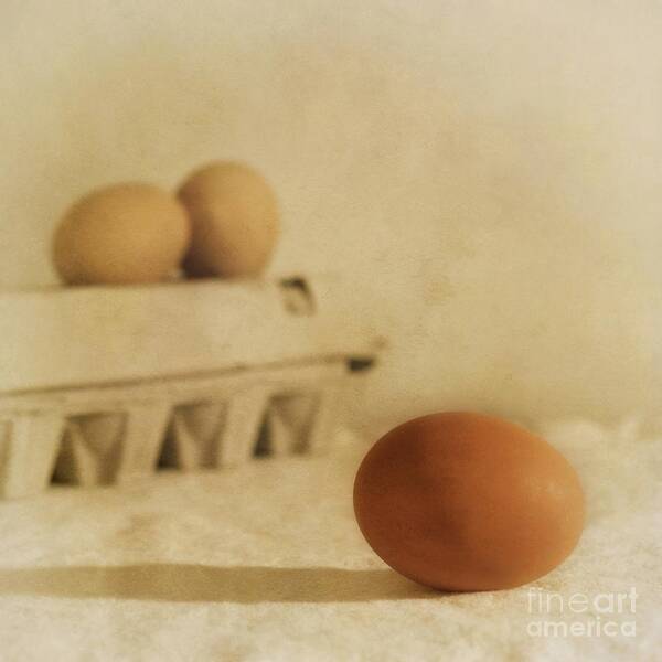 Egg Poster featuring the photograph Three Eggs And A Egg Box by Priska Wettstein