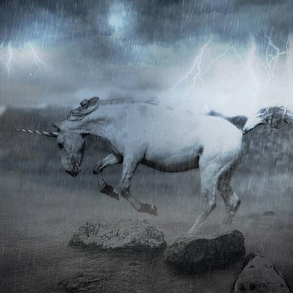 Beautiful Poster featuring the photograph Unicorn Edit by Rachel Williams