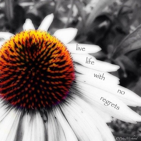 Iphoneonly Poster featuring the photograph #usaincolor #colorsplash_chrysti by Pete Michaud