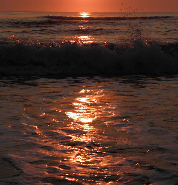 Wave Poster featuring the photograph Wave Reflections At Sunrise by Kim Galluzzo