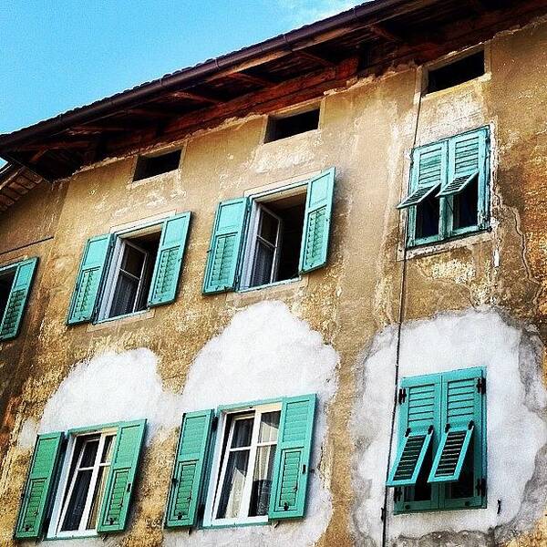 Outdoor Poster featuring the photograph Windows by Luisa Azzolini