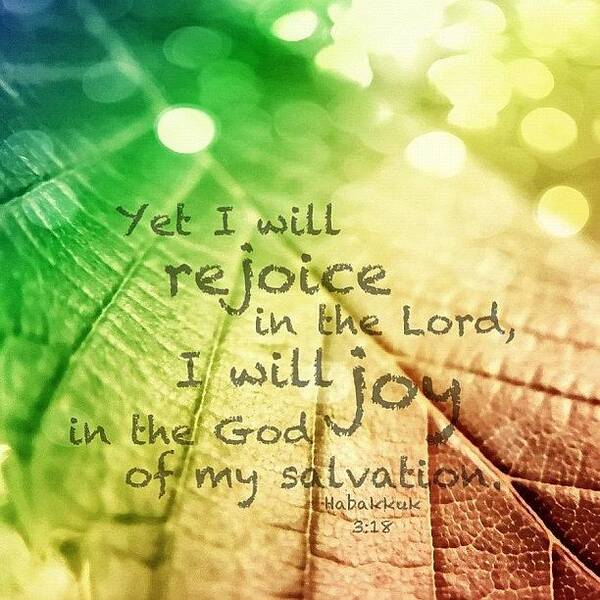 Godisgood Poster featuring the photograph yet I Will Rejoice In The Lord, I by Traci Beeson