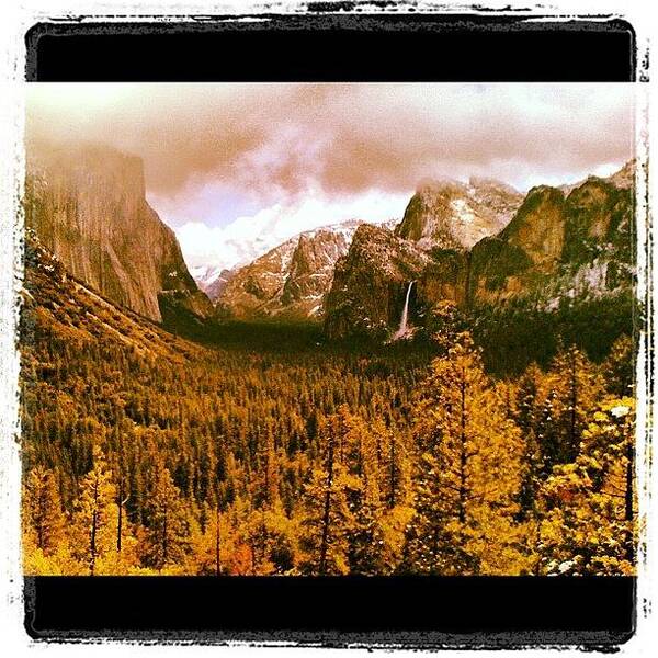 Yosemite Poster featuring the photograph Yosemite NP by Alison Williams