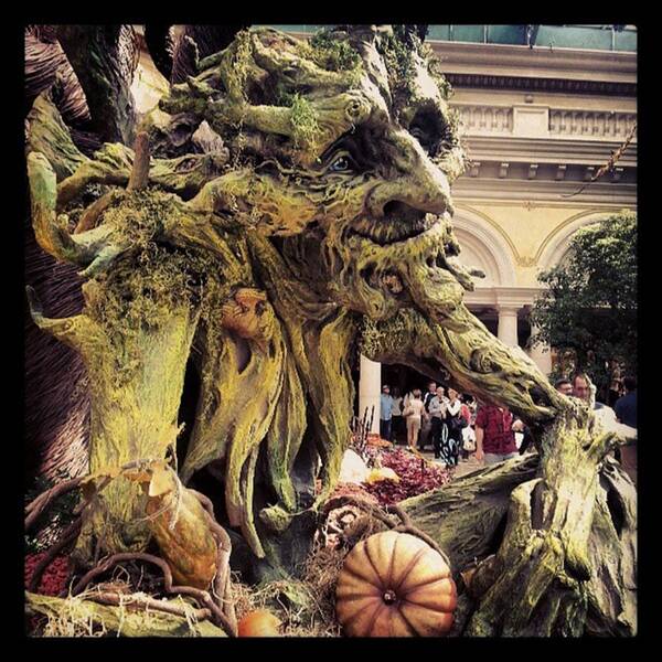 Bellagio Poster featuring the photograph #TrollGarden by Raymie Jackman