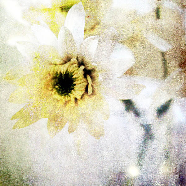 Flower Poster featuring the mixed media White Flower by Linda Woods