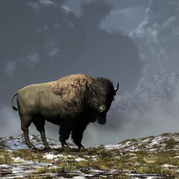 Bison Poster featuring the digital art Lonely Bison #1 by Daniel Eskridge