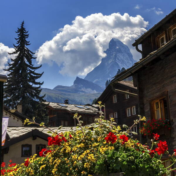 Matterhorn Poster featuring the photograph Matterhorn and Zermatt village houses, Switzerland by Elenarts - Elena Duvernay photo