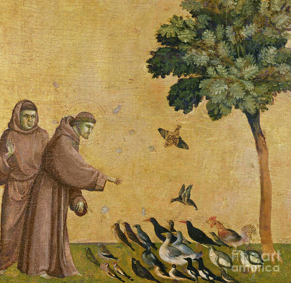 Francis Poster featuring the painting Saint Francis of Assisi preaching to the birds by Giotto di Bondone