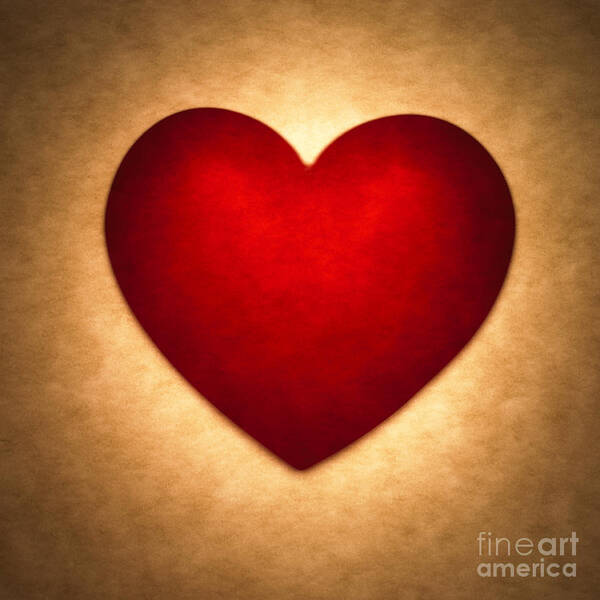 Heart Poster featuring the photograph Valentine Heart #1 by Tony Cordoza