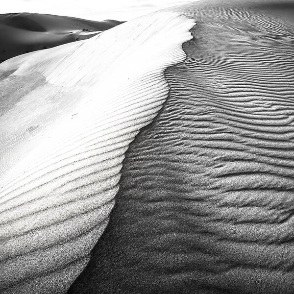 Sand Poster featuring the photograph Wave Theory V #1 by Ryan Weddle