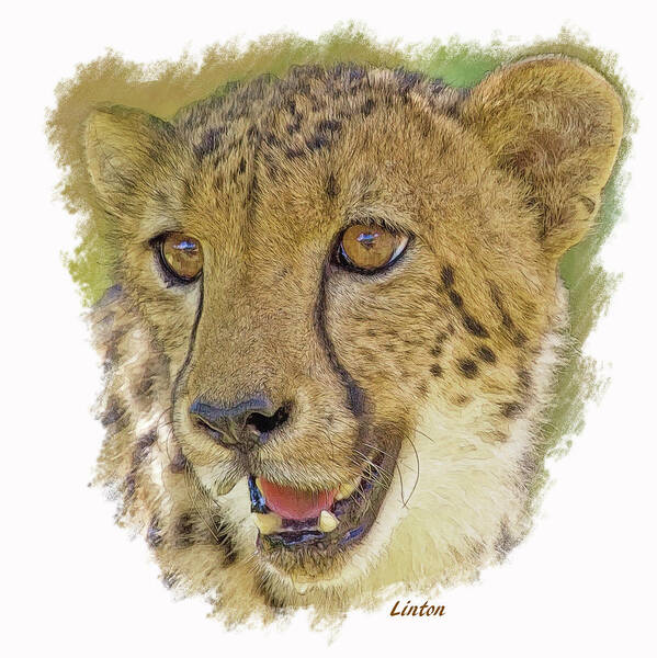 Cheetah Poster featuring the digital art Cheetah #2 by Larry Linton