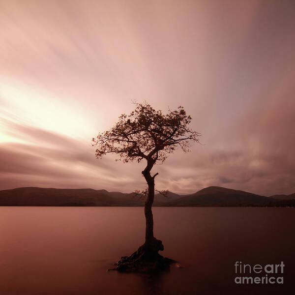 Loch Lomond Poster featuring the photograph Milarrochy Bay Sunset #2 by Maria Gaellman