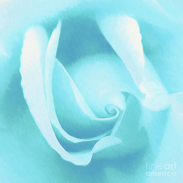 Roses-rosa Poster featuring the photograph A Blue Rose - Romantic Abstract Art by Scott Cameron