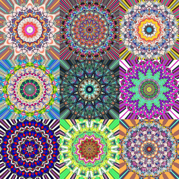 Mandala Poster featuring the digital art Abstract Mandala Collage by Phil Perkins