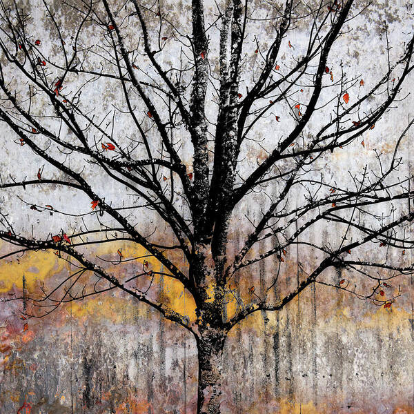 Tree Poster featuring the mixed media After the Wind by Carol Leigh