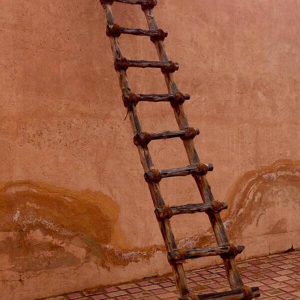 Ladder Poster featuring the photograph Al Ain Ladder by Barbara Von Pagel