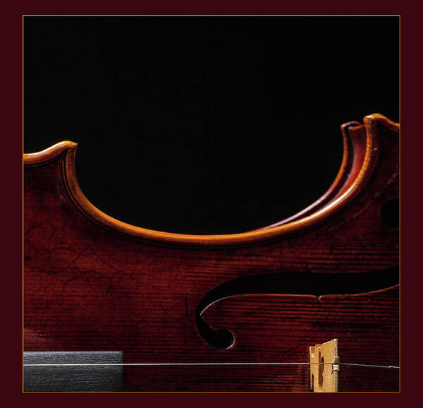 Violin Poster featuring the photograph Antique Violin 1732.09 by M K Miller