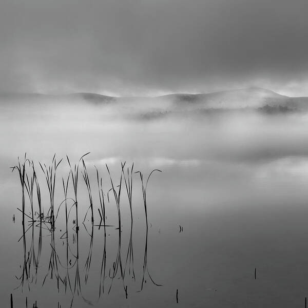 Square Poster featuring the photograph Autumn Fog Black and White Square by Bill Wakeley