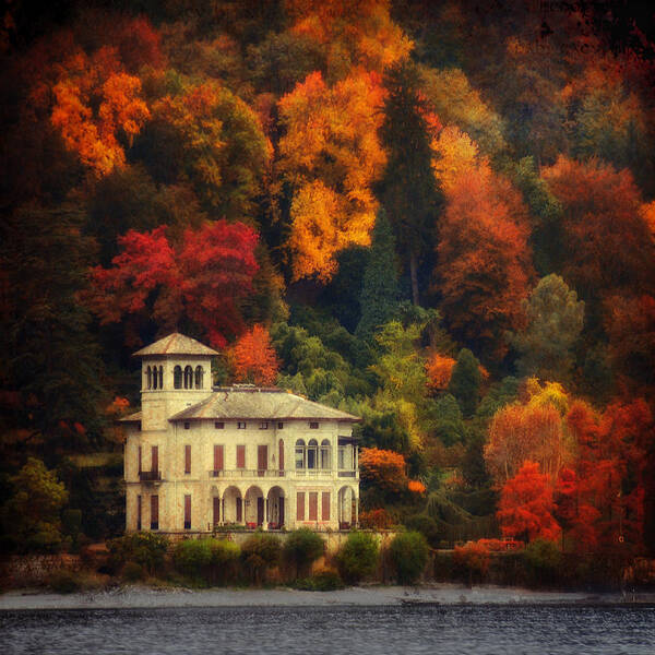 Autumn Poster featuring the photograph Autumn Is My Garden by Philippe Sainte-Laudy