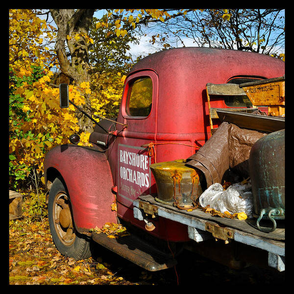 Truck Poster featuring the photograph Bayshore Orchards by Tim Nyberg