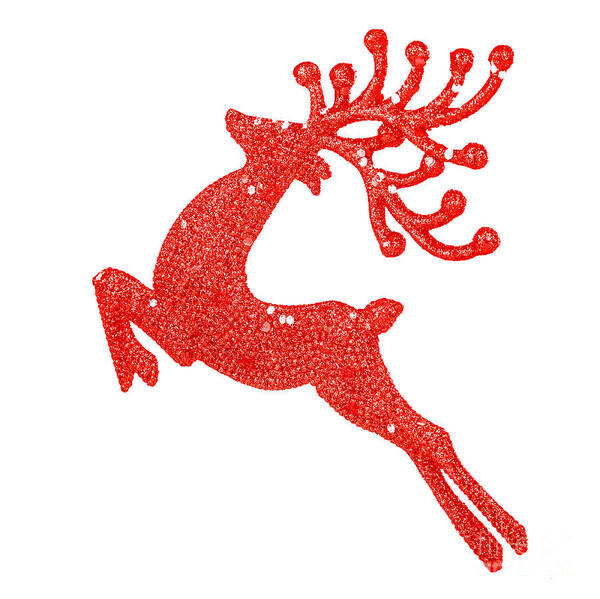Animal Poster featuring the photograph Beautiful red reindeer decoration by Anna Om