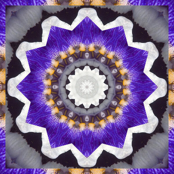 Mandalas Poster featuring the photograph Bliss by Bell And Todd