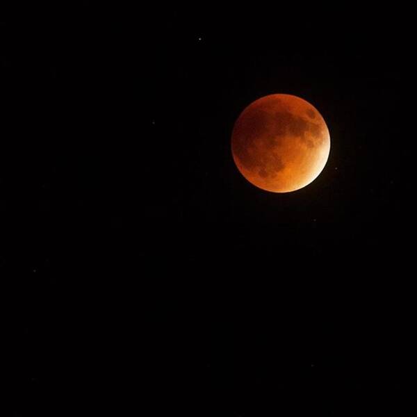 Miami Poster featuring the photograph Blood Moon, Total Lunar Eclipse by Juan Silva