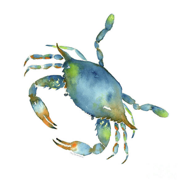 Crab Painting Poster featuring the painting Blue Crab by Amy Kirkpatrick