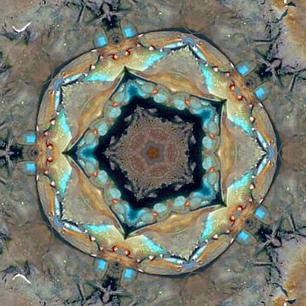 Blue Poster featuring the photograph Blue Crab Kaleidoscope by Bill Barber