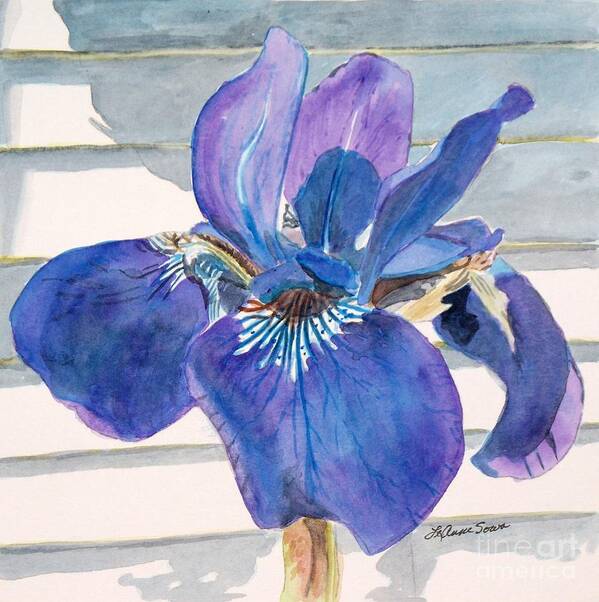 Flowers Poster featuring the painting Blue Iris by LeAnne Sowa