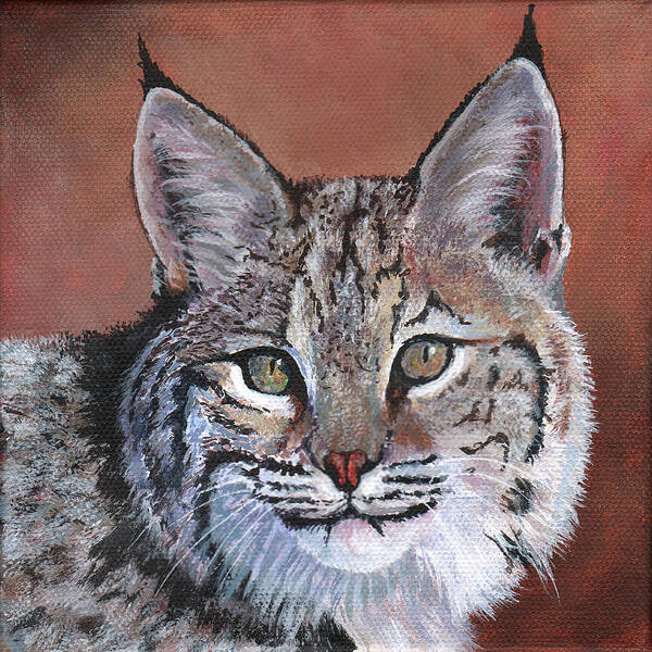 Timithy Poster featuring the painting Bobcat by Timithy L Gordon
