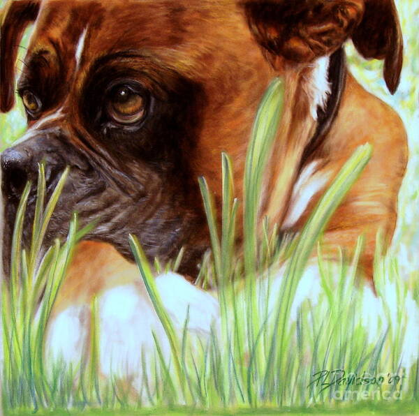 Boxer Poster featuring the pastel Boxer by Pat Davidson