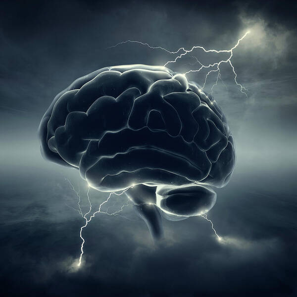 Brain Poster featuring the photograph Brainstorm by Johan Swanepoel