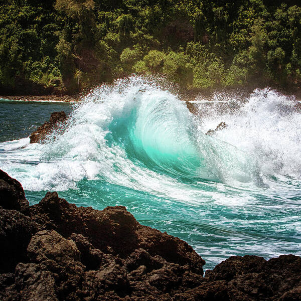 Maui Poster featuring the photograph Breakers by Susan Rissi Tregoning