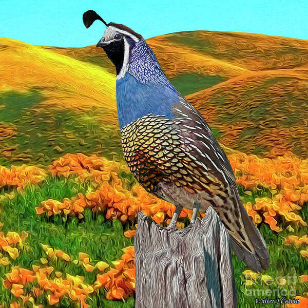 California Quail Poster featuring the digital art California State Bird and Flower by Walter Colvin