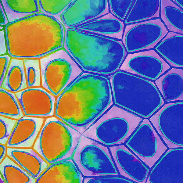 Painting Poster featuring the painting Cell Abstract 2 by Edward Fielding