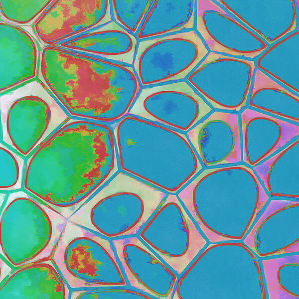 Painting Poster featuring the photograph Cells Abstract Three by Edward Fielding