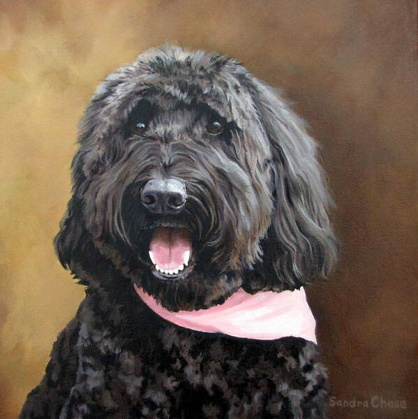 Dog Portrait Poster featuring the painting Coal by Sandra Chase