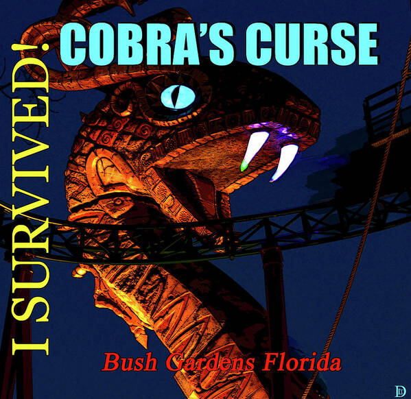 Cobras Curse Survivor Poster Poster featuring the photograph Cobras Curse survivor poster by David Lee Thompson