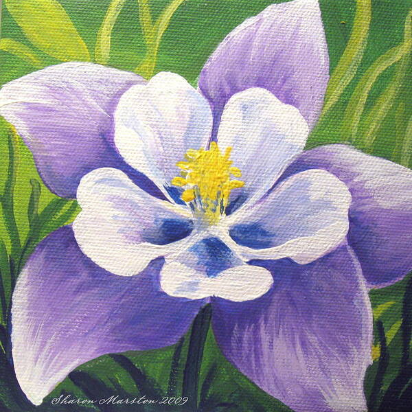 Columbine Poster featuring the painting Colorado Columbine by Sharon Marcella Marston