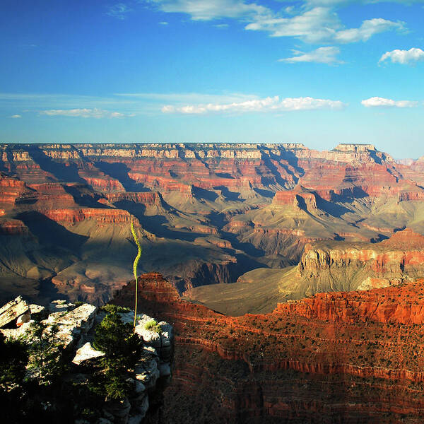 America Poster featuring the photograph Colors and Depth of Grand Canyon - Square Format by Gregory Ballos