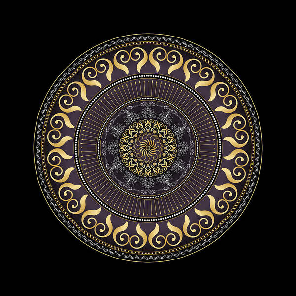 Mandala Poster featuring the digital art Complexical No 2031 by Alan Bennington