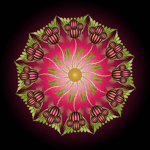 Mandala Poster featuring the digital art Complexical No 2217 by Alan Bennington