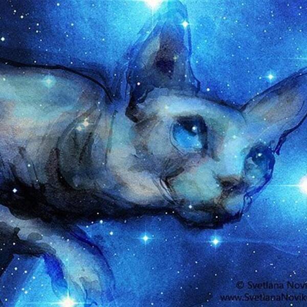 Sphynxlair Poster featuring the photograph Cosmic Sphynx Painting By Svetlana by Svetlana Novikova