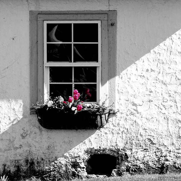 Cottage Window Poster featuring the photograph Cottage Window by Dark Whimsy