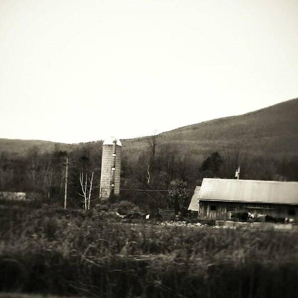 Silo Poster featuring the photograph Country Life
#silo by A A