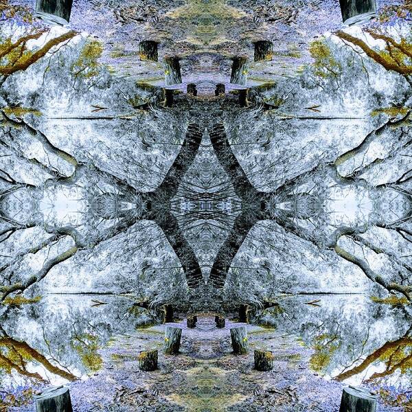 Abstract Poster featuring the digital art Deciduous Dimensions by Sherry Kuhlkin