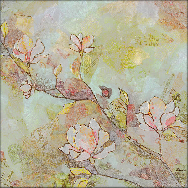 Magnolia Poster featuring the painting Delicate Magnolias by Shadia Derbyshire