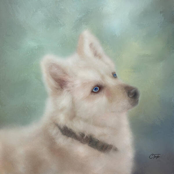 Dogs Poster featuring the mixed media Diamond, The White Shepherd by Colleen Taylor