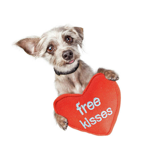 Dog Poster featuring the photograph Dog Free Valentines Day Kisses by Good Focused